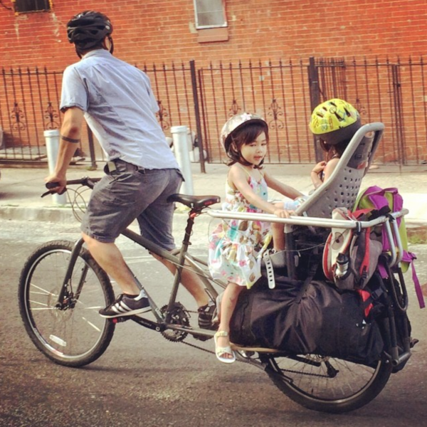 Dawn of the Planet of the Longtails | Brooklyn Spoke